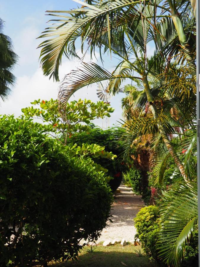 Kas Di Bami A-186 Op Seru Coral Resort - Ruim Appartement Met Groot Zwembad En Tropische Tuin Willemstad Kültér fotó